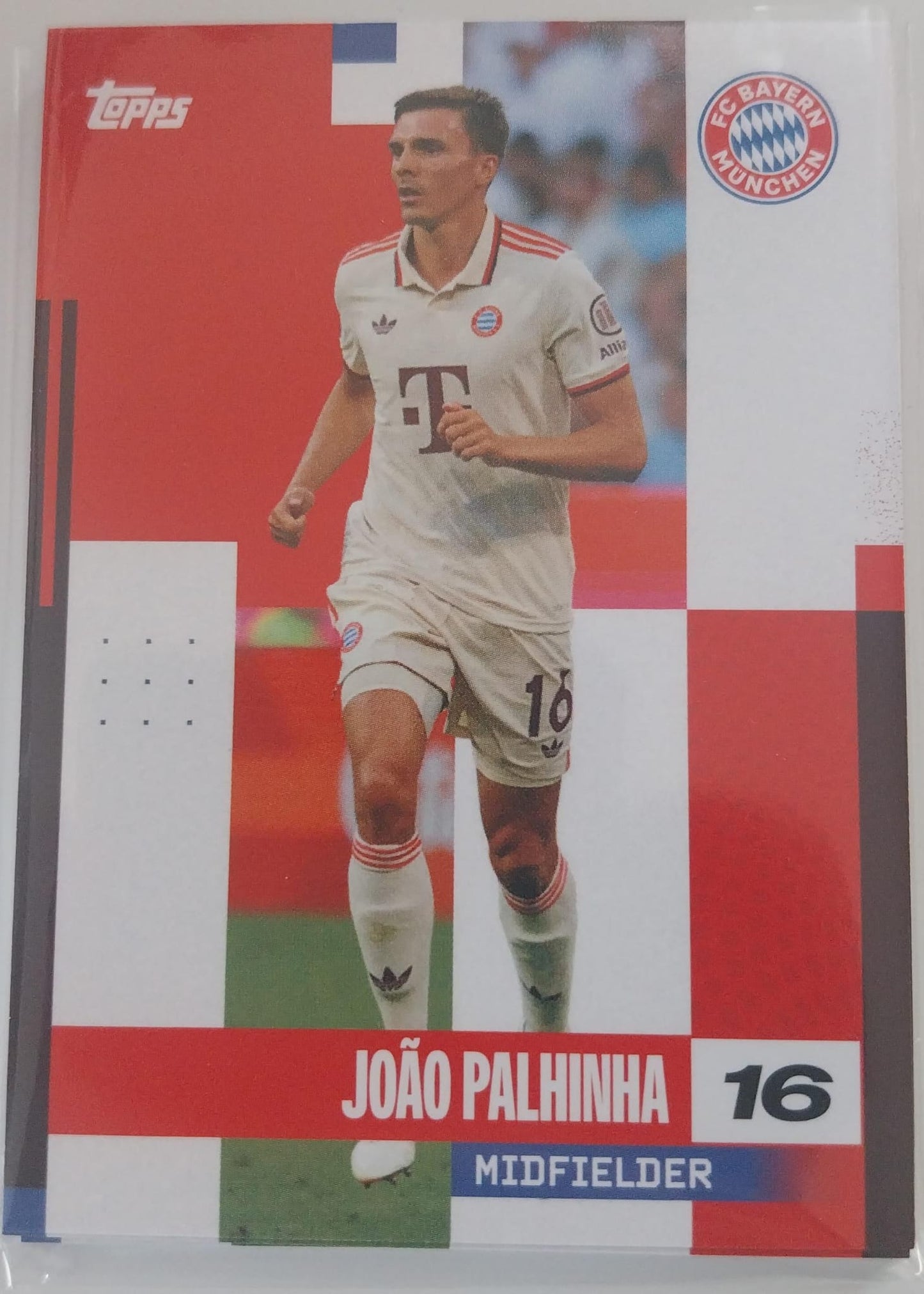 Joao Palhinha