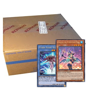 2022 Tins of the Pharaoh’s Gods - Case - deutsch